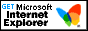 InternetExplorer